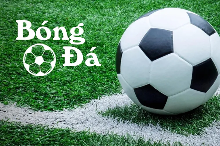 Phân Tích Chuyên Sâu Trạng Thái Bóng Trong Cuộc Và Bóng Ngoài Cuộc
