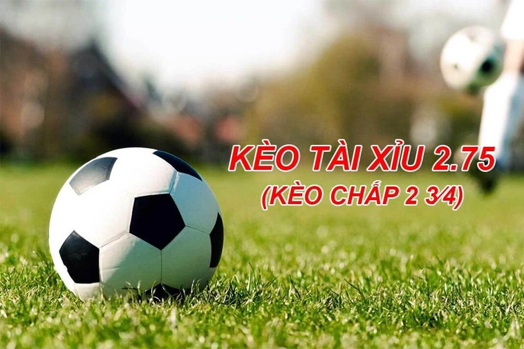 Giải Mã Kèo Chấp 2 3/4 Tại 7M Và Cách Đầu Tư Thông Minh Nhất