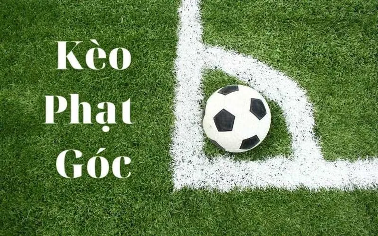 Kèo Phạt Góc Bóng Đá Tại 7M Và Kỹ Thuật Phân Tích Tần Suất Góc Dựa Trên Sơ Đồ Chiến Thuật