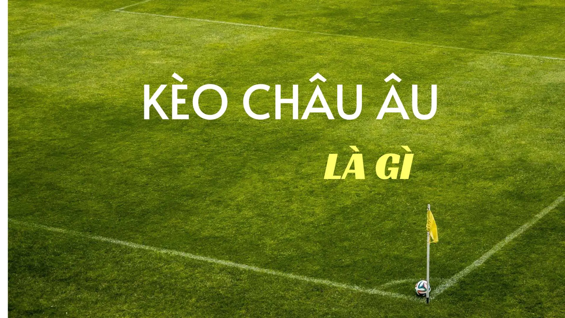 Tìm Hiểu Kèo Châu Âu Tại 7M Và Cách Đọc Tỷ Lệ Cược Thắng Hòa Thua