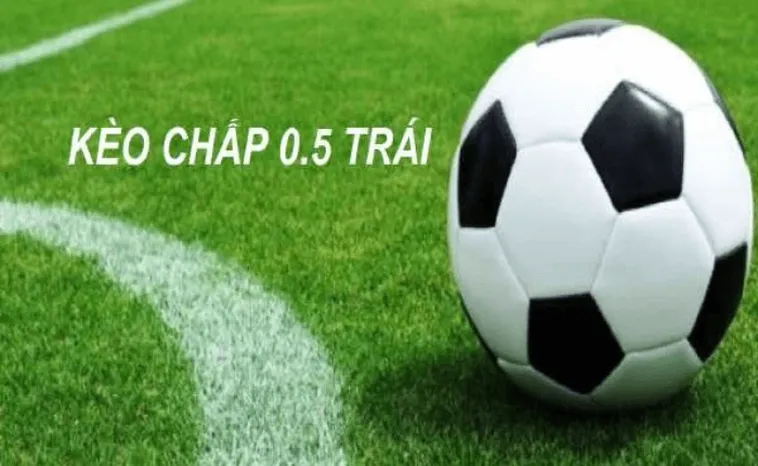 Phân Tích Chuyên Sâu Kèo Chấp 0.5 Tại 7M Và Chiến Thuật Đầu Tư Thông Minh